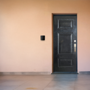 Triad steel door